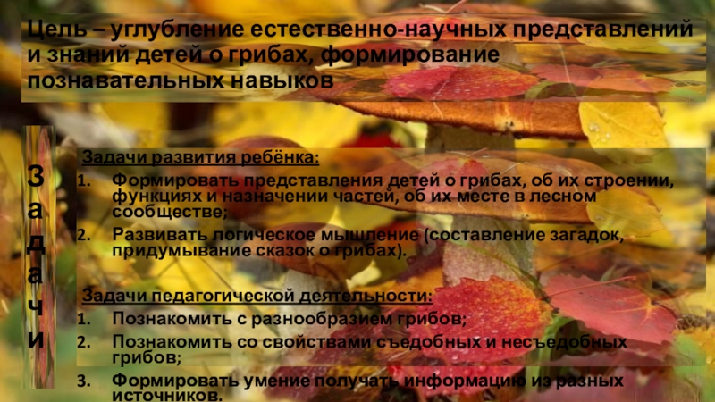 Проект Грибы в логопедической группе Цель – углубление естественно-научных представлений и знаний детей о грибах, формирование Цель – углубление естественно-научных представлений и знаний детей о грибах, формирование познавательных навыковЗадачиЗадачи развития ребёнка:Формировать представления детей