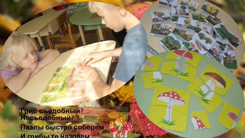 Проект Грибы в логопедической группе Гриб съедобный? Несъедобный?Пазлы быстро соберемИ грибы те назовем. Гриб съедобный? Несъедобный?Пазлы быстро соберемИ грибы те назовем.