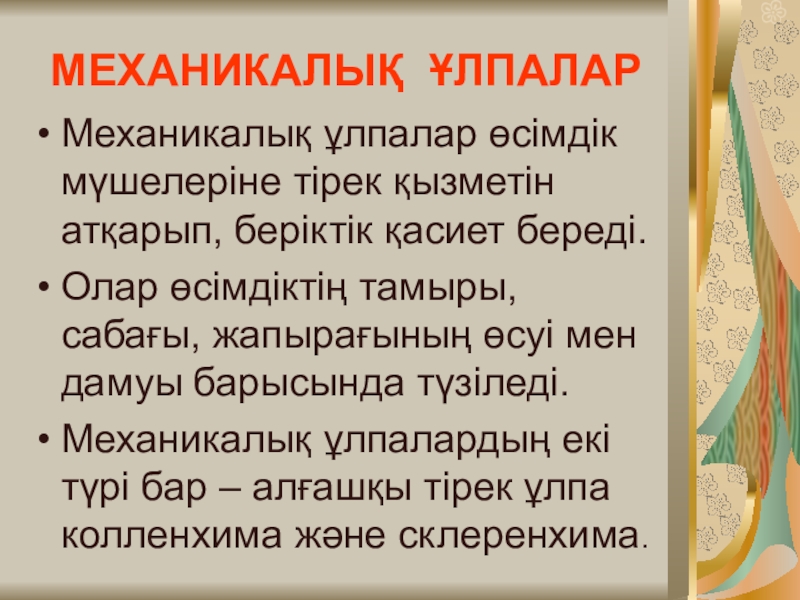Презентация по биологии Өсімдік ұлпалары Механикалық ұлпалар өсімдік мүшелеріне тірек қызметін атқарып, беріктік қасиет береді.Олар өсімдіктің Механикалық ұлпалар өсімдік мүшелеріне тірек қызметін атқарып, беріктік қасиет береді.Олар өсімдіктің тамыры, сабағы, жапырағының өсуі мен дамуы