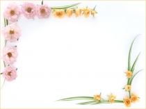 Химиялық байланыстың түрлері (8 сынып)