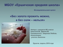 Исследовательский проект по биологии Без золота прожить можно, а без соли нельзя