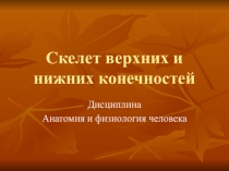 Презентация лекционного занятия на тему :“Скелет верхних и нижних конечностей”