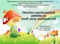 Воспитательно-образовательная работа в МКДОУ №2 п. Дубна в 2018-2019 учебном году