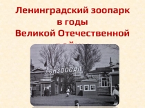 Ленинградский зоопарк в дни блокады.