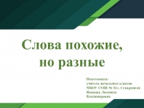 Презентация по русскому языку на тему Омонимы и их виды