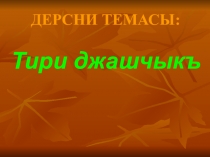 Тири джашчыкъ