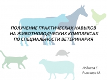 Получение практических навыков на животноводческих комплексах по специальности