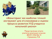 Презентация Мониторинг универсальных учебных действий
