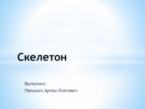 История создания - Скелетона
