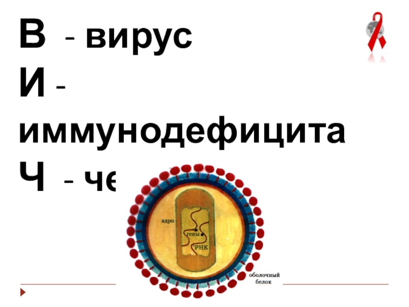 Презентация к мероприятию Мы выбираем будущее без СПИД В - вирус И - иммунодефицитаЧ - человека В - вирус И - иммунодефицитаЧ - человека