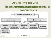 Презентация по информатике на тему Система и окружающая среда. (6 класс)