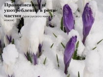 Презентация по русскому языку