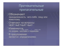 Притяжательные прилагательные( на уроке русского языка в 6 классе)