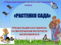 Презентация к уроку 26 по ОКРУЖАЮЩЕМУ МИРУ на тему  Растения сада, 2 класс, ПНШ
