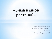 Презентация к уроку Окружающего мира 2 класс Зима в мире растений