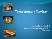 Презентация по биологии на тему Грибы