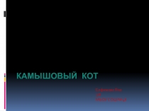 Презентация по окружающему миру на тему Камышовый кот
