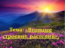 Презентация по биологии для 5 класса на тему: Внешнее строение растений.