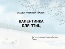 Экологический проект Валентинки для птиц