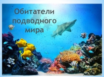 Презентация к году Экологии на тему Обитатели подводного мира