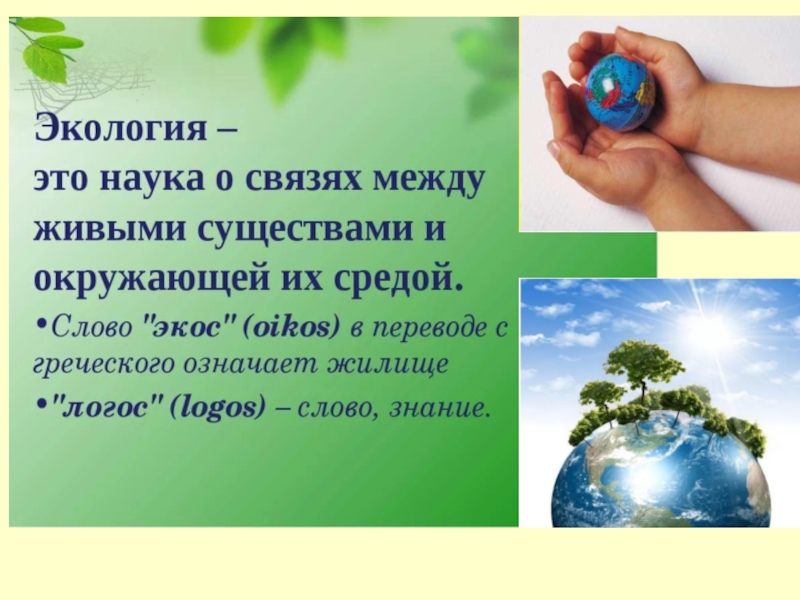Презентация на тему