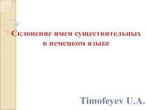 Презентация Склонение имен существительных в немецком языке