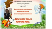 Моя педагогическая деятельность .
