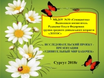 ИССЛЕДОВАТЕЛЬСКИЙ ПРОЕКТ - ПРЕЗЕНТАЦИЯ УДИВИТЕЛЬНЫЙ МИР БАБОЧЕК