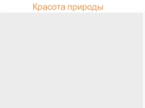 Презентация по окружающему миру по теме: Времена года.Красота природы.