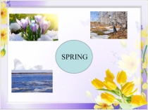 Презентация по английскому языку на тему Spring (3-4 класс)