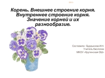 Презентация Корень. Значение и виды корней.