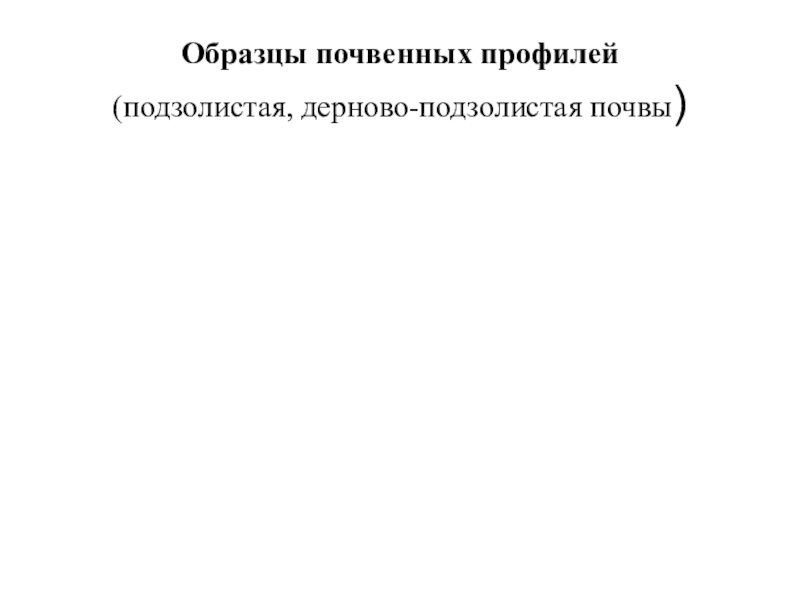 Презентация по географии Почвы пришкольного участка Образцы почвенных профилей (подзолистая, дерново-подзолистая почвы) Образцы почвенных профилей (подзолистая, дерново-подзолистая почвы)