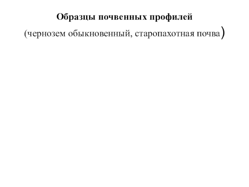 Презентация по географии Почвы пришкольного участка Образцы почвенных профилей (чернозем обыкновенный, старопахотная почва) Образцы почвенных профилей (чернозем обыкновенный, старопахотная почва)