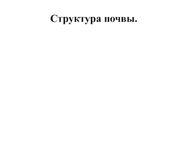 Презентация по географии Почвы пришкольного участка Структура почвы. Структура почвы.