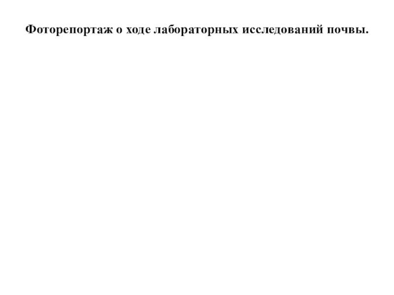 Презентация по географии Почвы пришкольного участка Фоторепортаж о ходе лабораторных исследований почвы. Фоторепортаж о ходе лабораторных исследований почвы.