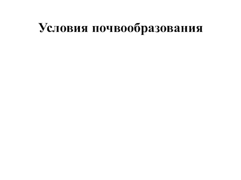 Презентация по географии Почвы пришкольного участка Условия почвообразования Условия почвообразования