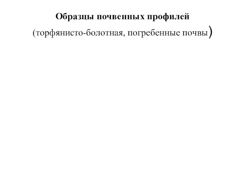 Презентация по географии Почвы пришкольного участка Образцы почвенных профилей (торфянисто-болотная, погребенные почвы) Образцы почвенных профилей (торфянисто-болотная, погребенные почвы)