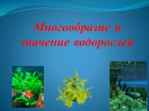 Презентация по биологии Многообразие и значение водорослей