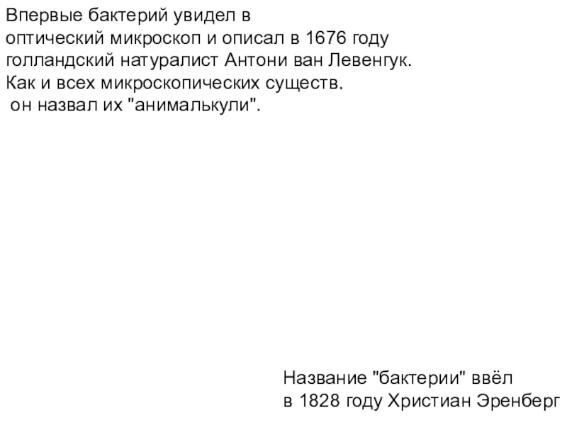 Презентация Бактерии, 5 класс Впервые бактерий увидел в оптический микроскоп и описал в 1676 году Впервые бактерий увидел в оптический микроскоп и описал в 1676 году голландский натуралист Антони ван Левенгук. Как