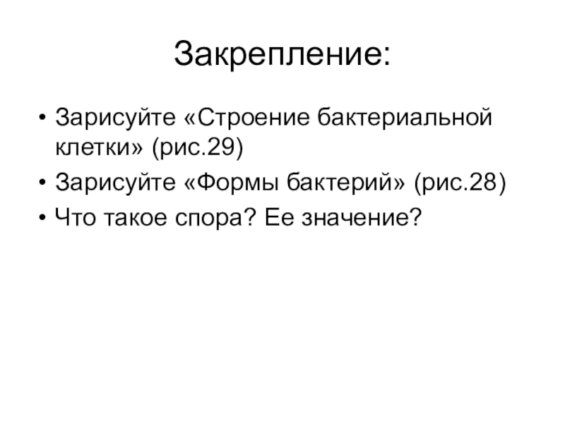 Презентация Бактерии, 5 класс Закрепление:Зарисуйте «Строение бактериальной клетки» (рис.29)Зарисуйте «Формы бактерий» (рис.28)Что такое спора? Ее значение? Закрепление:Зарисуйте «Строение бактериальной клетки» (рис.29)Зарисуйте «Формы бактерий» (рис.28)Что такое спора? Ее значение?