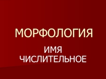 Презентация по русскому языку на тему Имя числительное (6 класс)