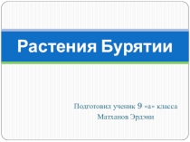 Презентация по биологии Растения Бурятии