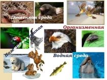 Презентация по биологии Среды обитания живых организмов 5 класс.ФГОС