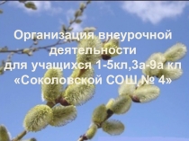 Презентация Внеурочная деятельность учащихся ОВЗ