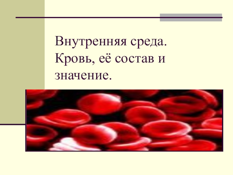 Презентация Внутренняя среда организма.Кровь