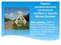 Оценка экологического состояния воздуха в городе Малая Вишера