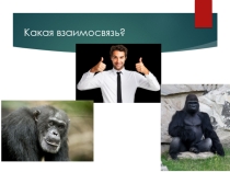 Презентация по теме: Этапы происхождения человека 8 класс