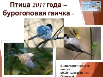 Презентация на районный конкурс Птица года- 2017