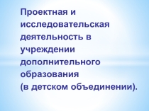 Проектная и исследовательская деятелность в учреждении дополнительного образования (в детском объединении)
