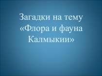 Презентация по английскому языку на тему Загадки о флоре и фауне Калмыкии